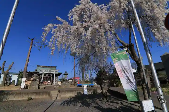 熊野福藏神社の庭園