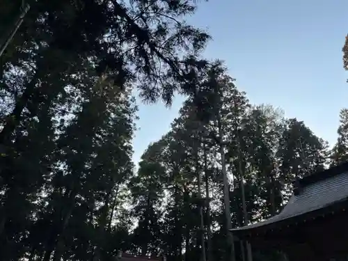 大宮温泉神社の建物その他