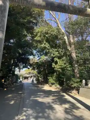 前鳥神社の{uncategorized: "未分類", other: "その他", undefined: "問題あり", building: "その他建物", grave: "お墓", sacred_gate: "鳥居", guardian: "狛犬", statue: "像", buddha: "仏像", history: "歴史", nature: "自然", garden: "庭園", animal: "動物", pagoda: "塔", temizu: "手水舎", mountain_gate: "山門・神門", sanctuary: "本殿・本堂", subordinate: "末社・摂社", art: "芸術", scenery: "景色", jizo: "地蔵", ema: "絵馬", goshuin: "御朱印", omikuji: "おみくじ", items: "授与品その他", amulet: "お守り", goshuincho: "御朱印帳", eats: "食事", festival: "お祭り", votive_dance: "神楽", shichigosan: "七五三参", wedding: "結婚式", experience: "体験その他", initially: "初詣", around: "周辺", anti_infection: "感染症対策"}