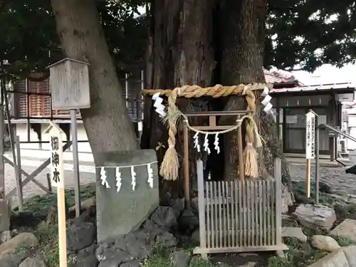 嶺白山神社の自然