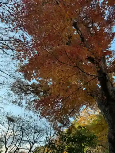 明月院の{uncategorized: "未分類", other: "その他", undefined: "問題あり", building: "その他建物", grave: "お墓", sacred_gate: "鳥居", guardian: "狛犬", statue: "像", buddha: "仏像", history: "歴史", nature: "自然", garden: "庭園", animal: "動物", pagoda: "塔", temizu: "手水舎", mountain_gate: "山門・神門", sanctuary: "本殿・本堂", subordinate: "末社・摂社", art: "芸術", scenery: "景色", jizo: "地蔵", ema: "絵馬", goshuin: "御朱印", omikuji: "おみくじ", items: "授与品その他", amulet: "お守り", goshuincho: "御朱印帳", eats: "食事", festival: "お祭り", votive_dance: "神楽", shichigosan: "七五三参", wedding: "結婚式", experience: "体験その他", initially: "初詣", around: "周辺", anti_infection: "感染症対策"}