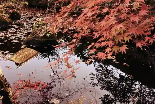 願成就院(静岡県)