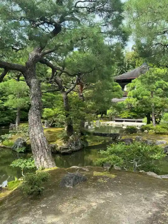 慈照寺(慈照禅寺・銀閣寺)(京都府)