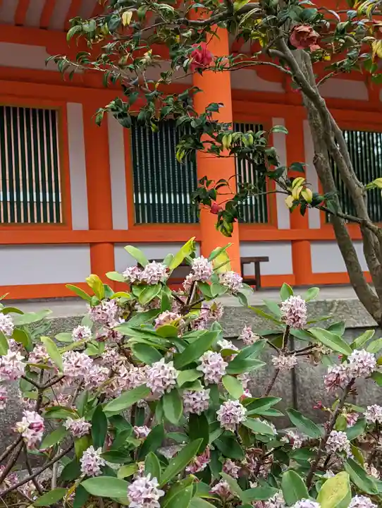 蓮華王院(三十三間堂)(京都府)