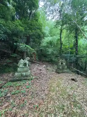 大學稲荷神社の狛犬