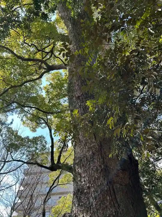 長田神社(兵庫県)