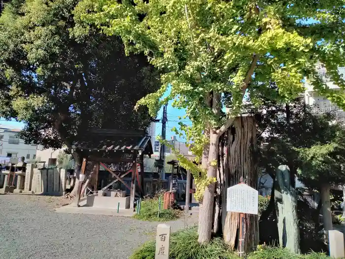 八坂神社の建物その他