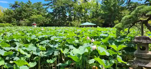 白山神社(新潟県)