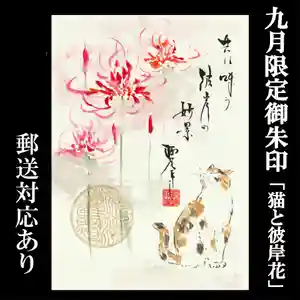 かっぱの寺 栖足寺の御朱印(2025年09月17日(水) 14時38分28秒投稿)