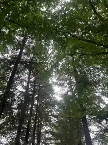 諏訪神社(東京都)