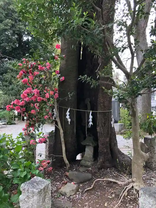所澤神明社の自然