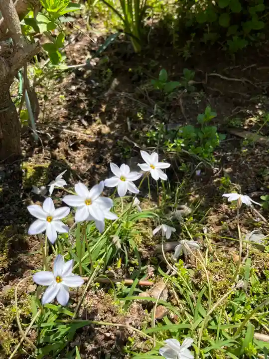 阿弥陀寺(和歌山県)