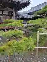 妙光寺(福井県)