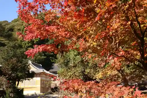 大國主神社の景色