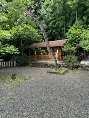 平野神社(京都府)