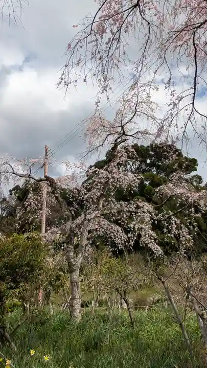 惠心院(京都府)