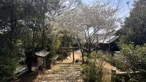 秋葉神社(兵庫県)