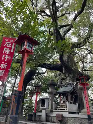 若一神社の末社・摂社