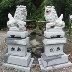 八幡社の狛犬