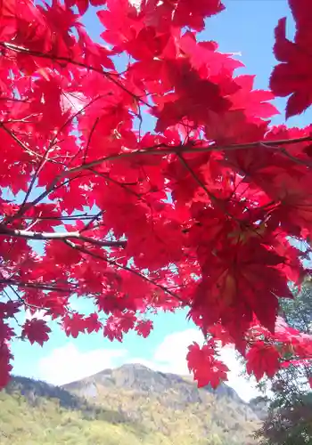 大雪山層雲峡神社の自然