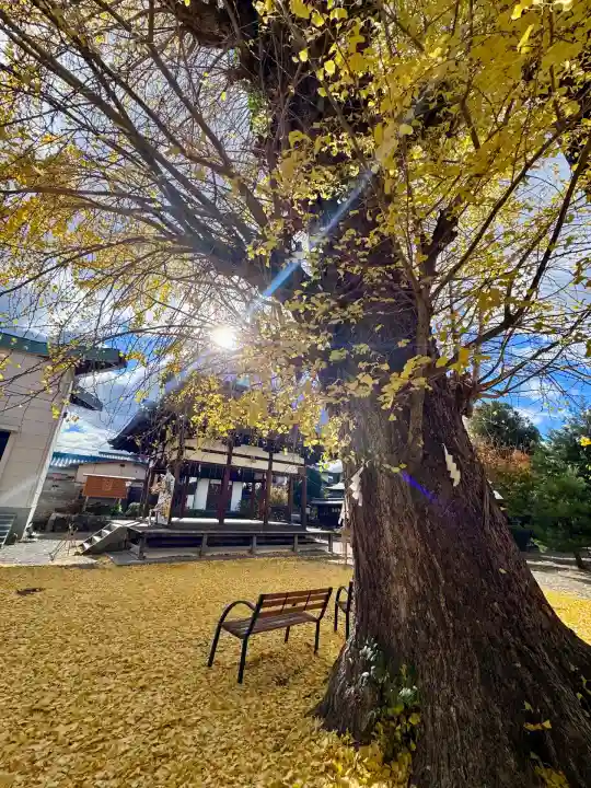 和田神社(滋賀県)