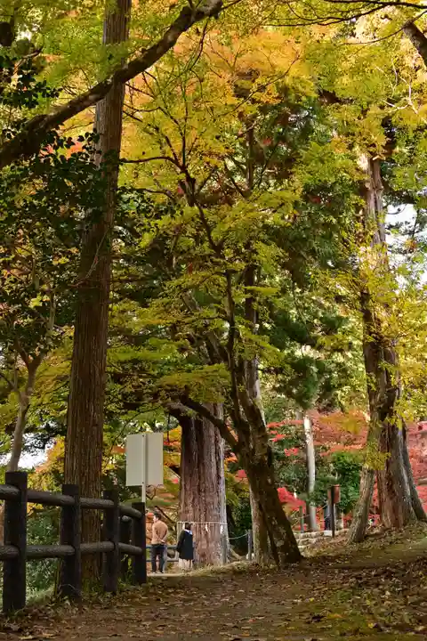 大瀧神社(滋賀県)