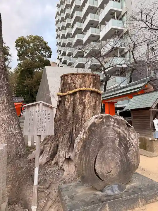 生田神社の{uncategorized: "未分類", other: "その他", undefined: "問題あり", building: "その他建物", grave: "お墓", sacred_gate: "鳥居", guardian: "狛犬", statue: "像", buddha: "仏像", history: "歴史", nature: "自然", garden: "庭園", animal: "動物", pagoda: "塔", temizu: "手水舎", mountain_gate: "山門・神門", sanctuary: "本殿・本堂", subordinate: "末社・摂社", art: "芸術", scenery: "景色", jizo: "地蔵", ema: "絵馬", goshuin: "御朱印", omikuji: "おみくじ", items: "授与品その他", amulet: "お守り", goshuincho: "御朱印帳", eats: "食事", festival: "お祭り", votive_dance: "神楽", shichigosan: "七五三参", wedding: "結婚式", experience: "体験その他", initially: "初詣", around: "周辺", anti_infection: "感染症対策"}