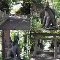 千歳神社の狛犬