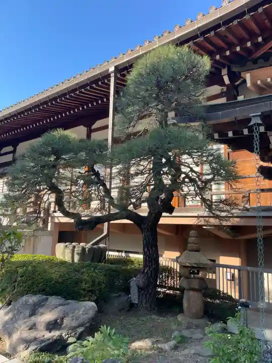 徳林寺の{uncategorized: "未分類", other: "その他", undefined: "問題あり", building: "その他建物", grave: "お墓", sacred_gate: "鳥居", guardian: "狛犬", statue: "像", buddha: "仏像", history: "歴史", nature: "自然", garden: "庭園", animal: "動物", pagoda: "塔", temizu: "手水舎", mountain_gate: "山門・神門", sanctuary: "本殿・本堂", subordinate: "末社・摂社", art: "芸術", scenery: "景色", jizo: "地蔵", ema: "絵馬", goshuin: "御朱印", omikuji: "おみくじ", items: "授与品その他", amulet: "お守り", goshuincho: "御朱印帳", eats: "食事", festival: "お祭り", votive_dance: "神楽", shichigosan: "七五三参", wedding: "結婚式", experience: "体験その他", initially: "初詣", around: "周辺", anti_infection: "感染症対策"}