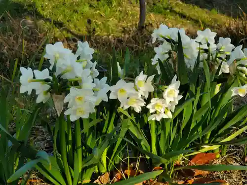 住吉神社の自然