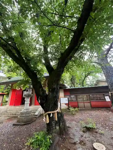 前原御嶽神社(千葉県)
