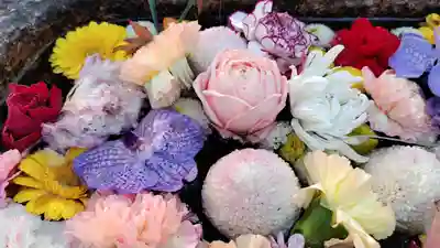 野見神社の手水舎