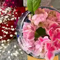 札幌諏訪神社の芸術