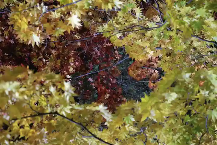 北広島市総鎮守 廣島神社(北海道)