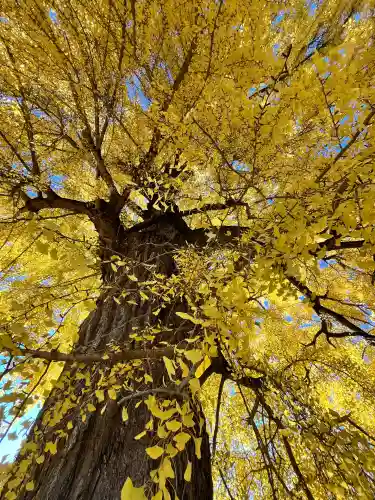 丹生酒殿神社(和歌山県)