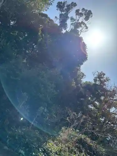 洲崎神社の{uncategorized: "未分類", other: "その他", undefined: "問題あり", building: "その他建物", grave: "お墓", sacred_gate: "鳥居", guardian: "狛犬", statue: "像", buddha: "仏像", history: "歴史", nature: "自然", garden: "庭園", animal: "動物", pagoda: "塔", temizu: "手水舎", mountain_gate: "山門・神門", sanctuary: "本殿・本堂", subordinate: "末社・摂社", art: "芸術", scenery: "景色", jizo: "地蔵", ema: "絵馬", goshuin: "御朱印", omikuji: "おみくじ", items: "授与品その他", amulet: "お守り", goshuincho: "御朱印帳", eats: "食事", festival: "お祭り", votive_dance: "神楽", shichigosan: "七五三参", wedding: "結婚式", experience: "体験その他", initially: "初詣", around: "周辺", anti_infection: "感染症対策"}