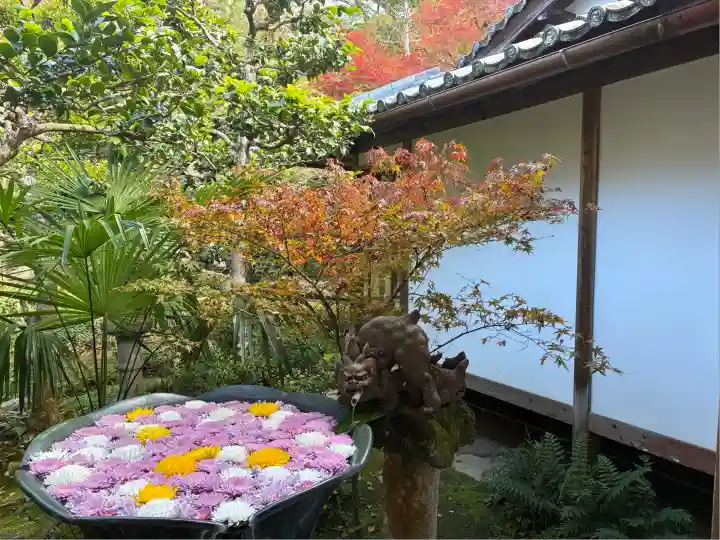 法然院(京都府)