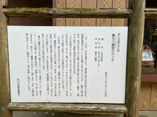 事任八幡宮(静岡県)