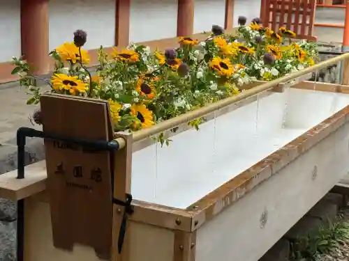 武蔵一宮氷川神社(埼玉県)