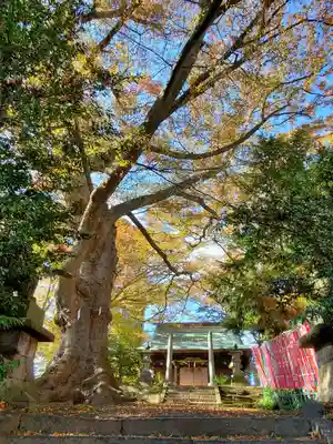 愛宕神社(福島県)