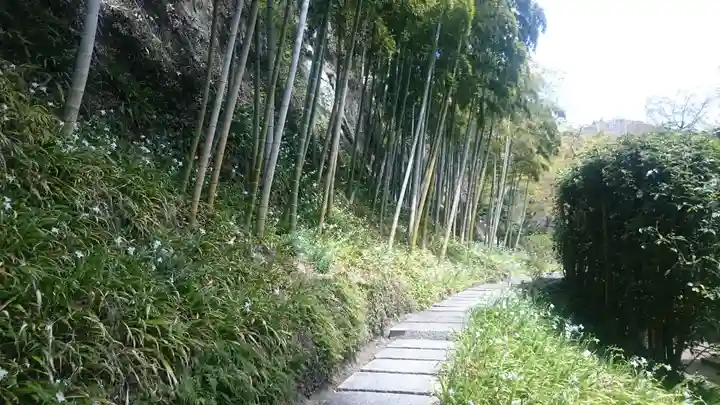 長壽寺(長寿寺)の周辺