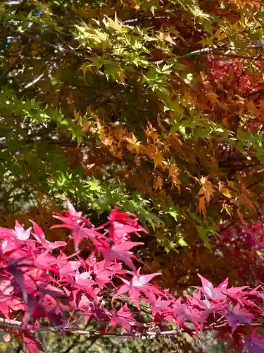 国宝 大法寺(長野県)