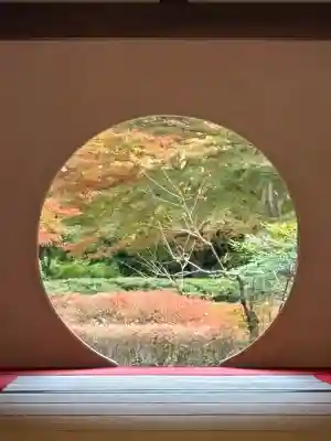 明月院(神奈川県)