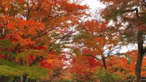 興聖寺（興聖寶林禅寺）(京都府)