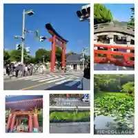 鶴岡八幡宮(神奈川県)