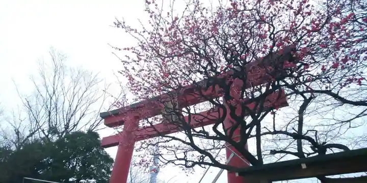 亀戸天神社のその他建物