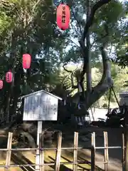 草薙神社の自然