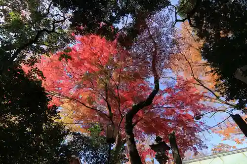 日吉神社の景色