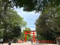 賀茂御祖神社(下鴨神社)(京都府)