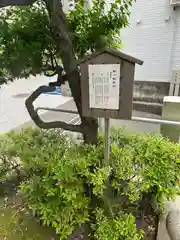 袖ケ崎神社(東京都)